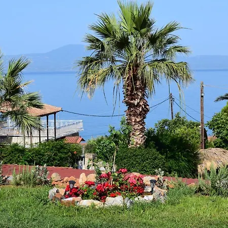 2 * Kalamata